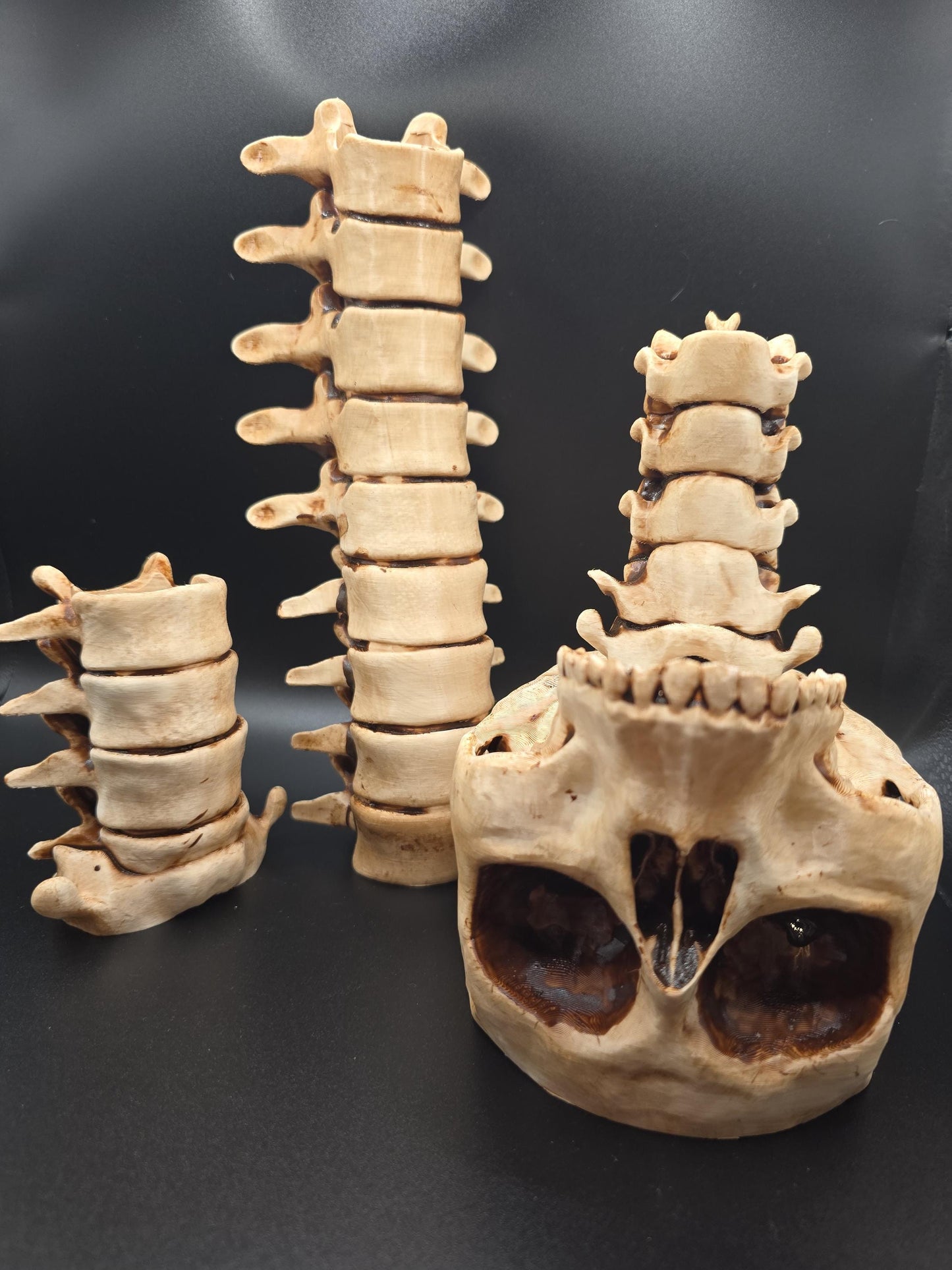 Gothic realistic spine and skull candle holders