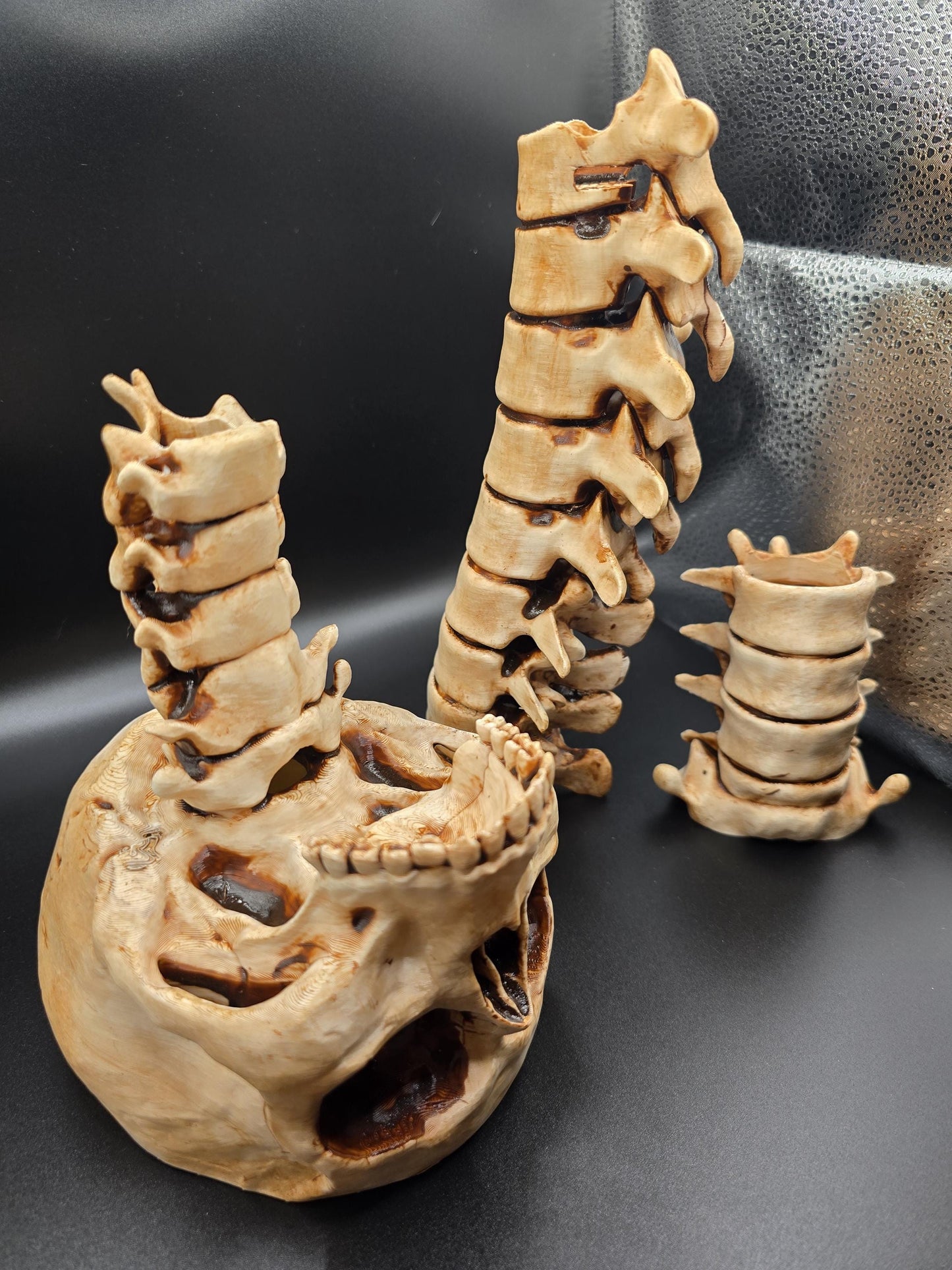 Gothic realistic spine and skull candle holders