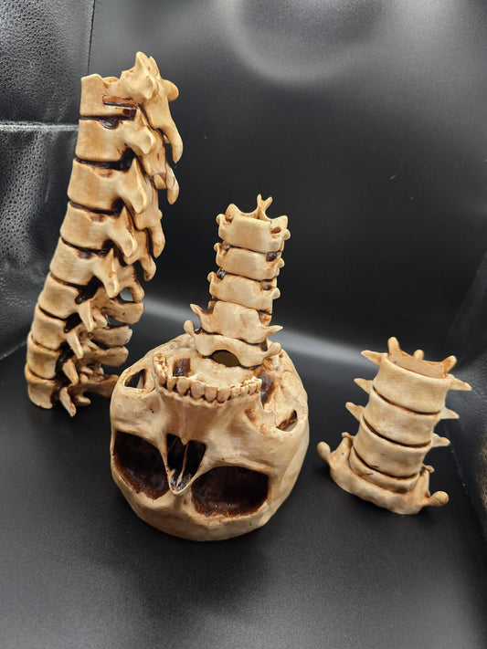 Gothic realistic spine and skull candle holders